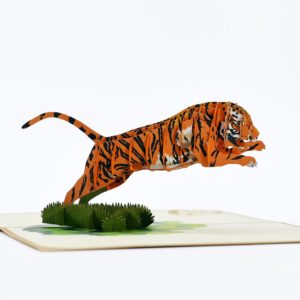 3D popup card tiger model