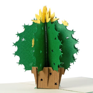 Cactus 3D Pop Up Card