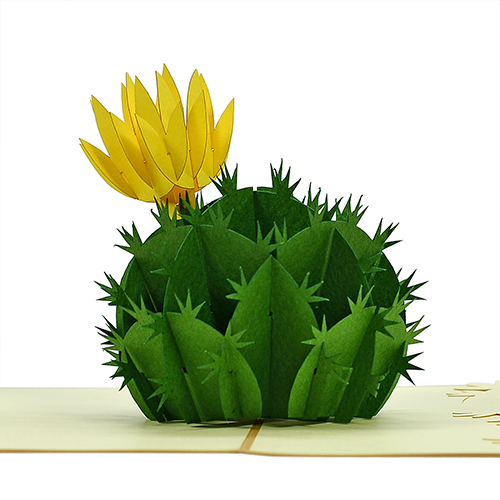 cactus flower popup card