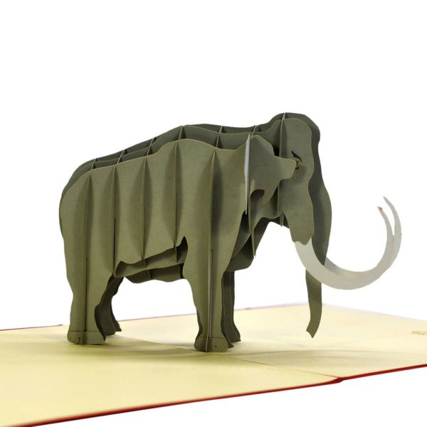 elephan popup card
