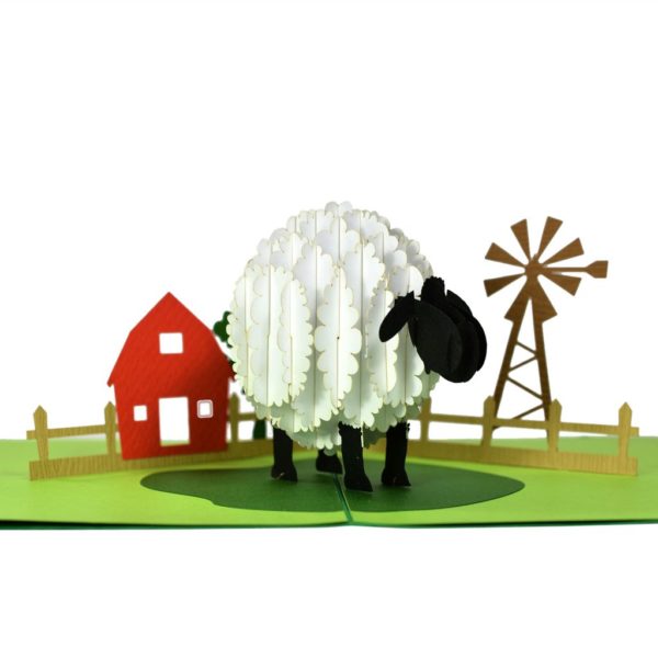 sheep popup card