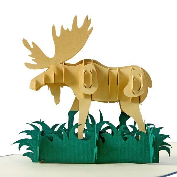 3D popup card a Moose model