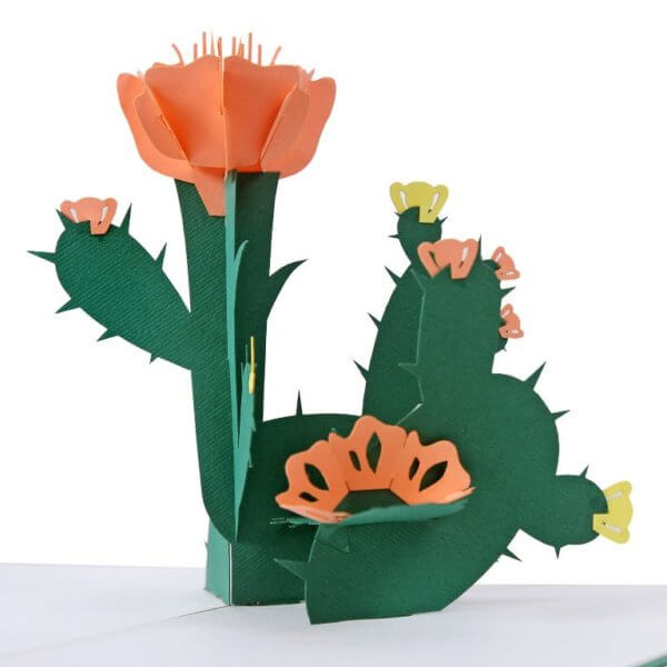 Cactus 3D Pop-up Card